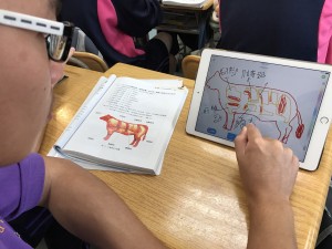 20161125餐一甲西餐烹調_9