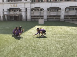 普三甲花絮_9481